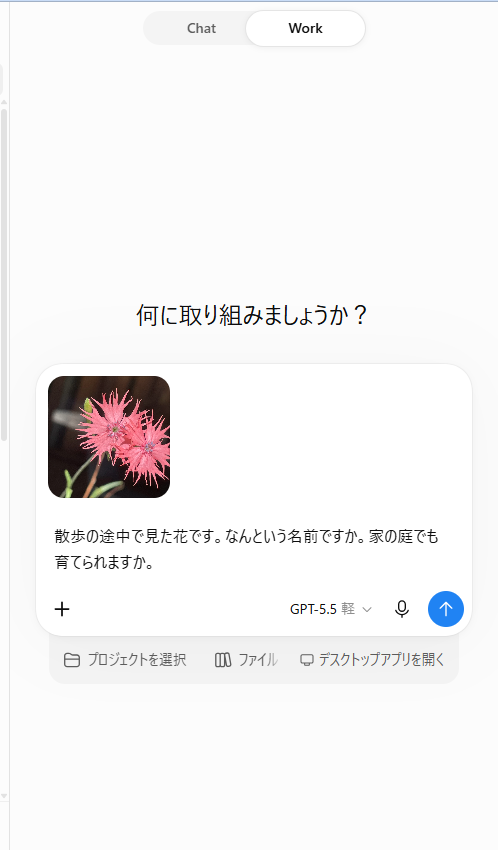 写真を添えて、聞いたところ