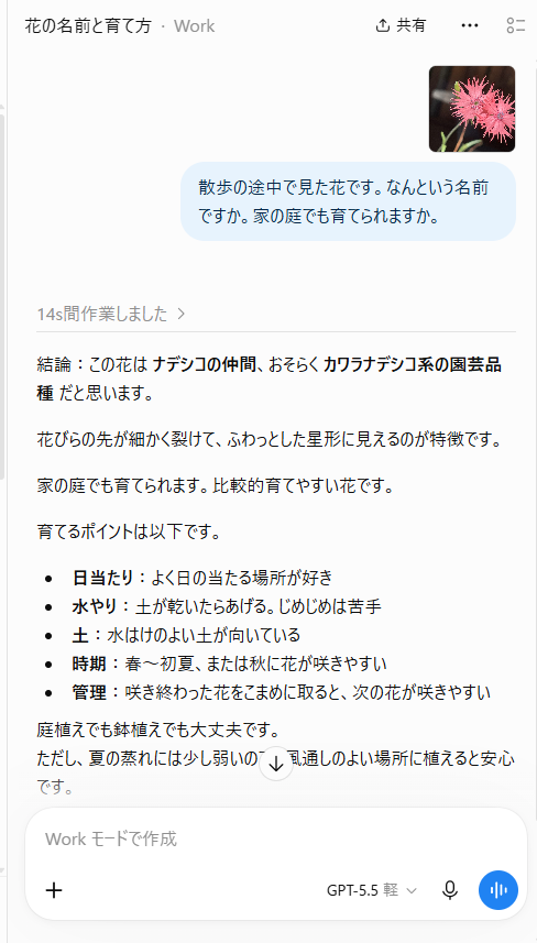 名前と育て方が返ってきた